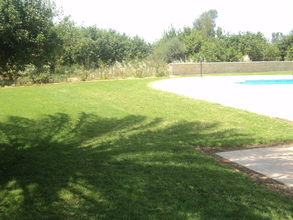 Citrus Grove Villa Argaka Quarto foto
